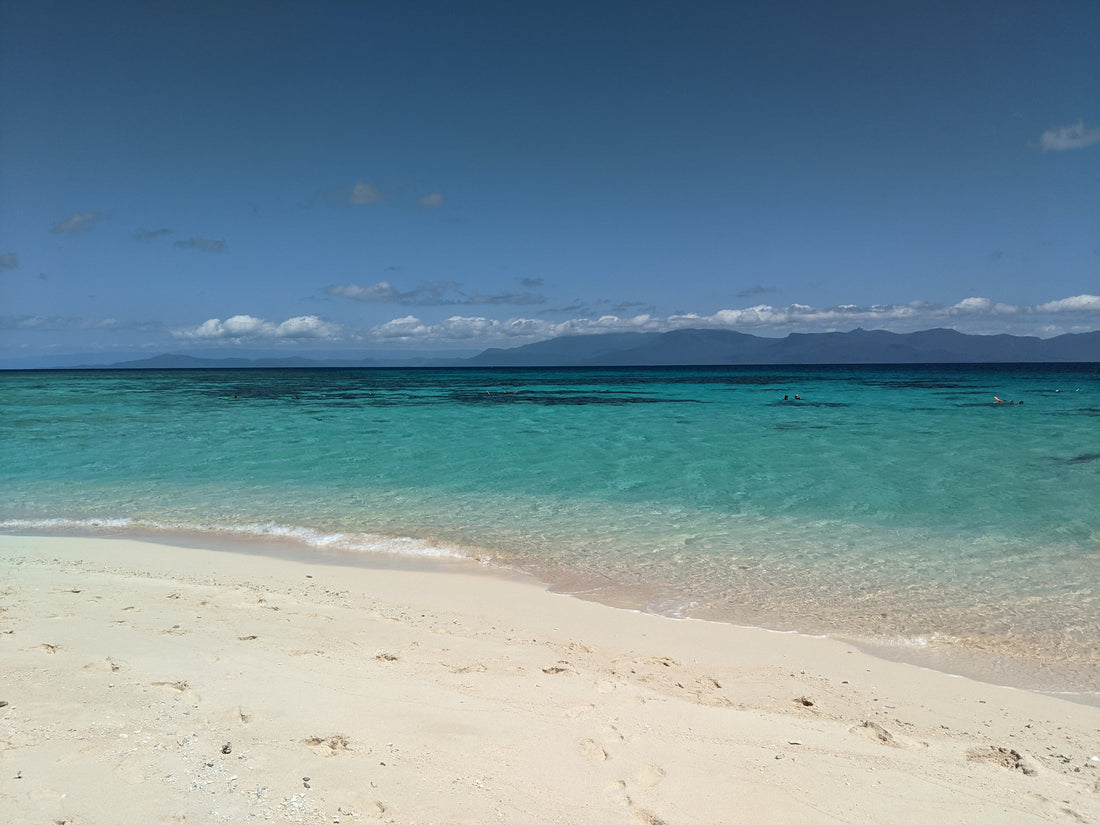 Take me Back to Australia