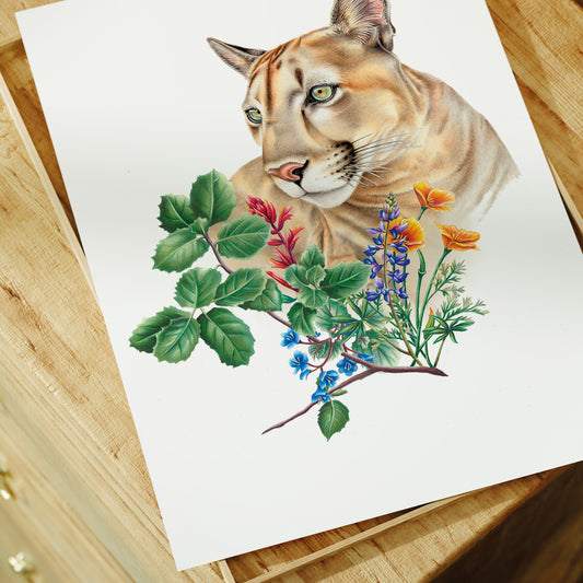 California Mountain Lion Print