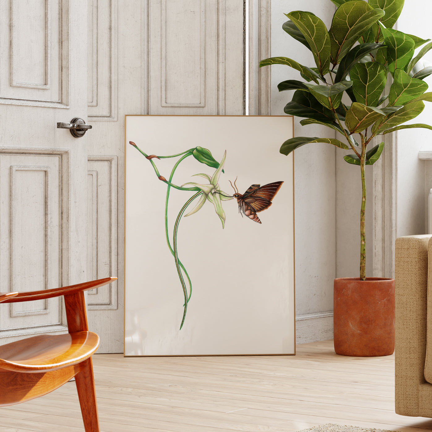 Darwin's hawk moth and comet orchid art print
