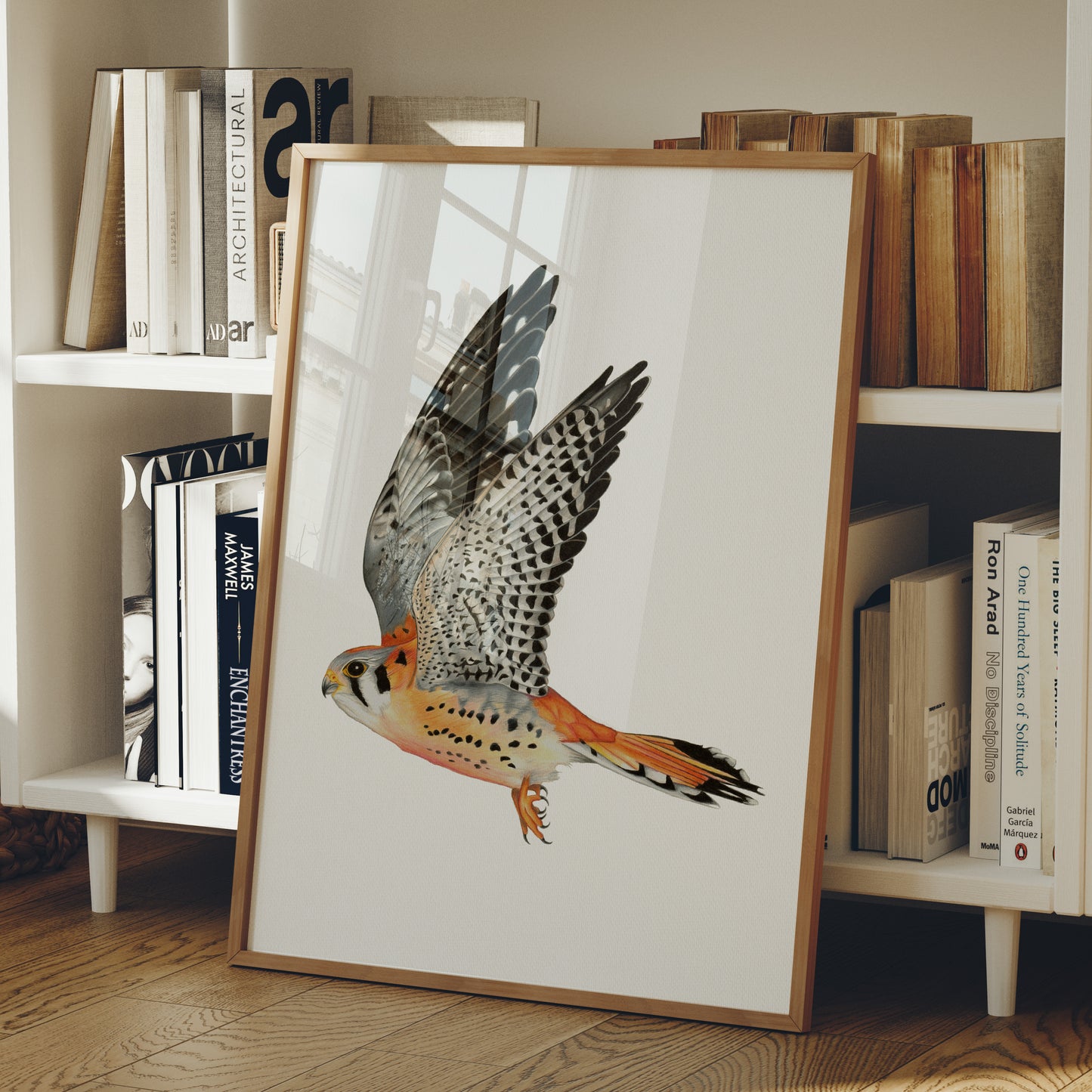 American Kestrel Print