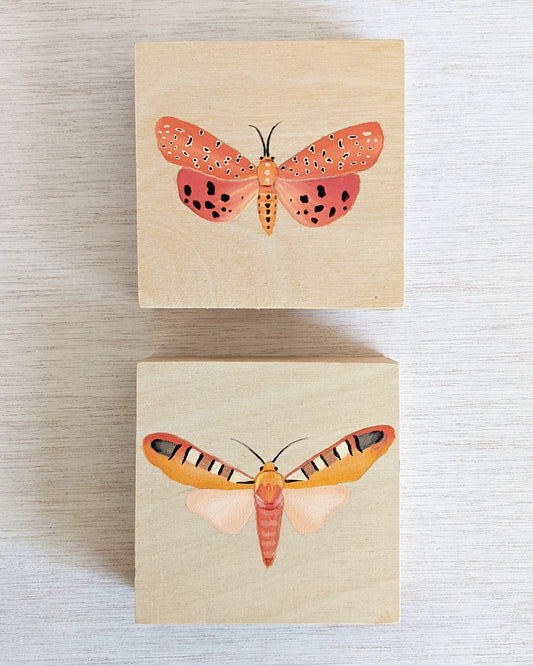Tiger Moth Pair