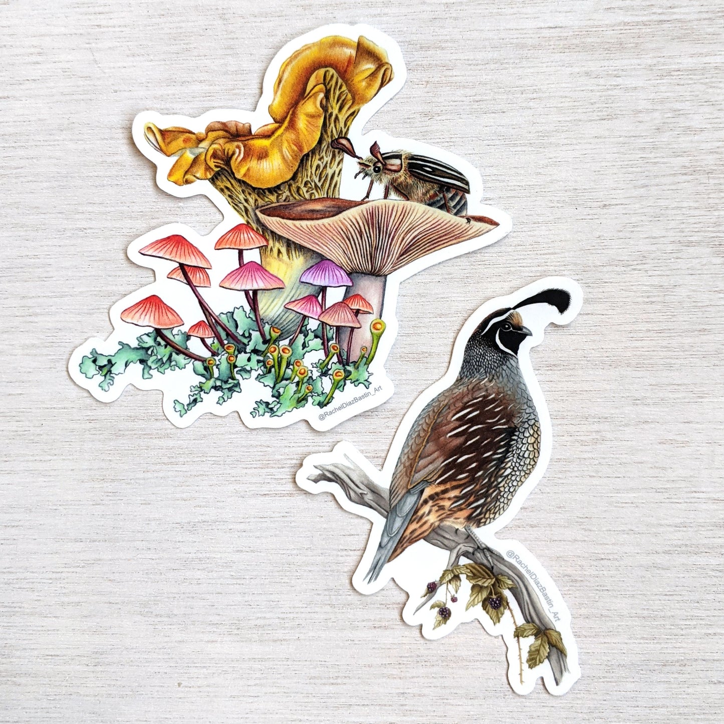 Mushroom & California Quail Stickers