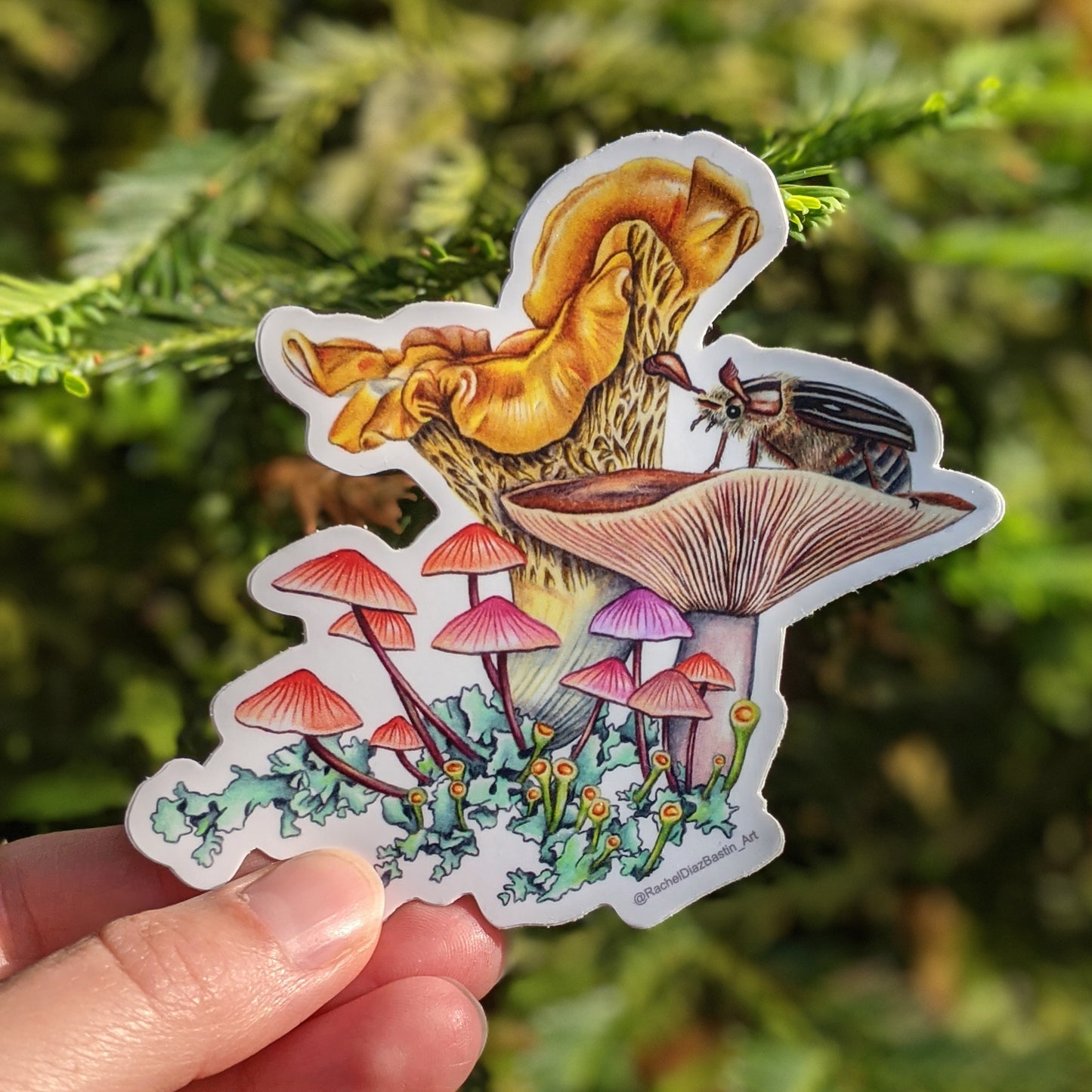 Mushroom & California Quail Stickers