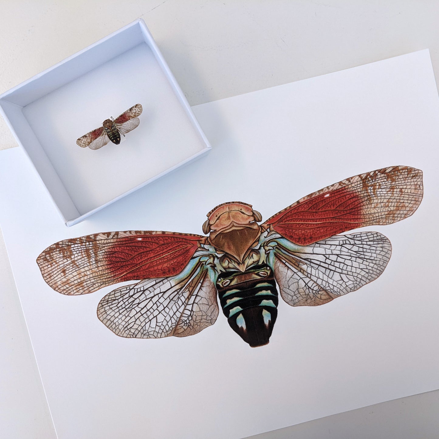 Tropical Planthopper Print