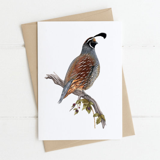 California quail greeting card