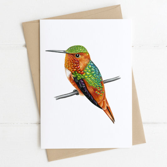 Allen's hummingbird greeting card