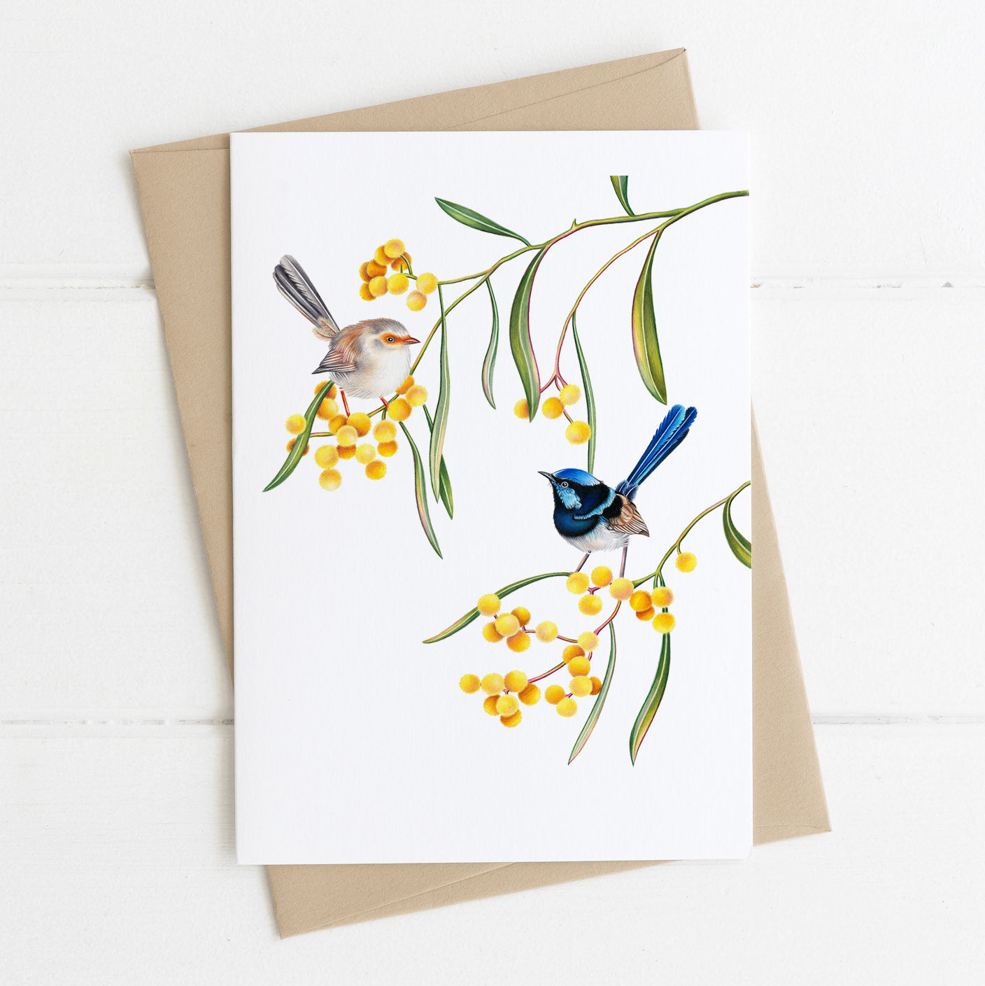 superb faiywren greeting card