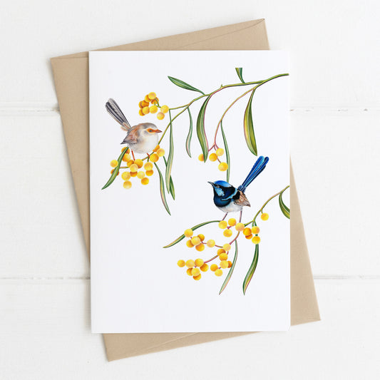 superb faiywren greeting card