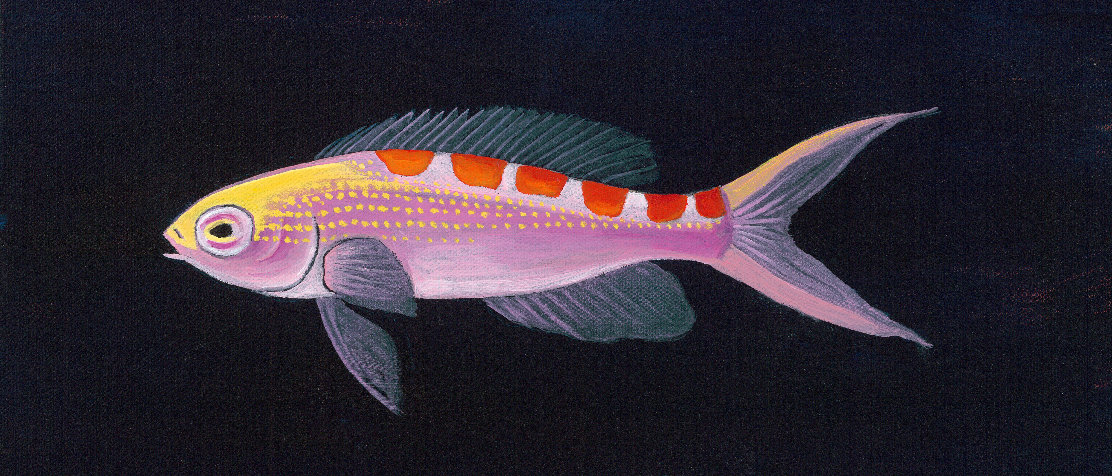 twilight zone reef fish painting