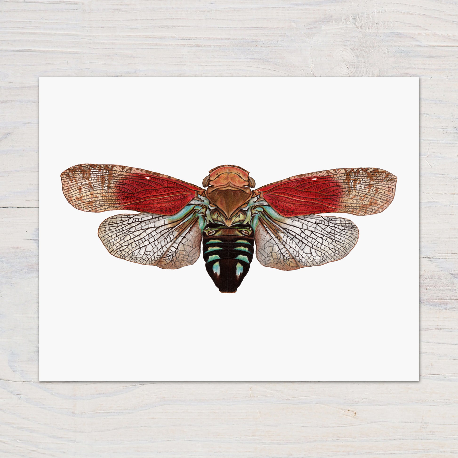 tropical planthopper print