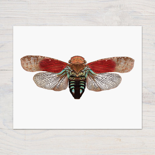 tropical planthopper print