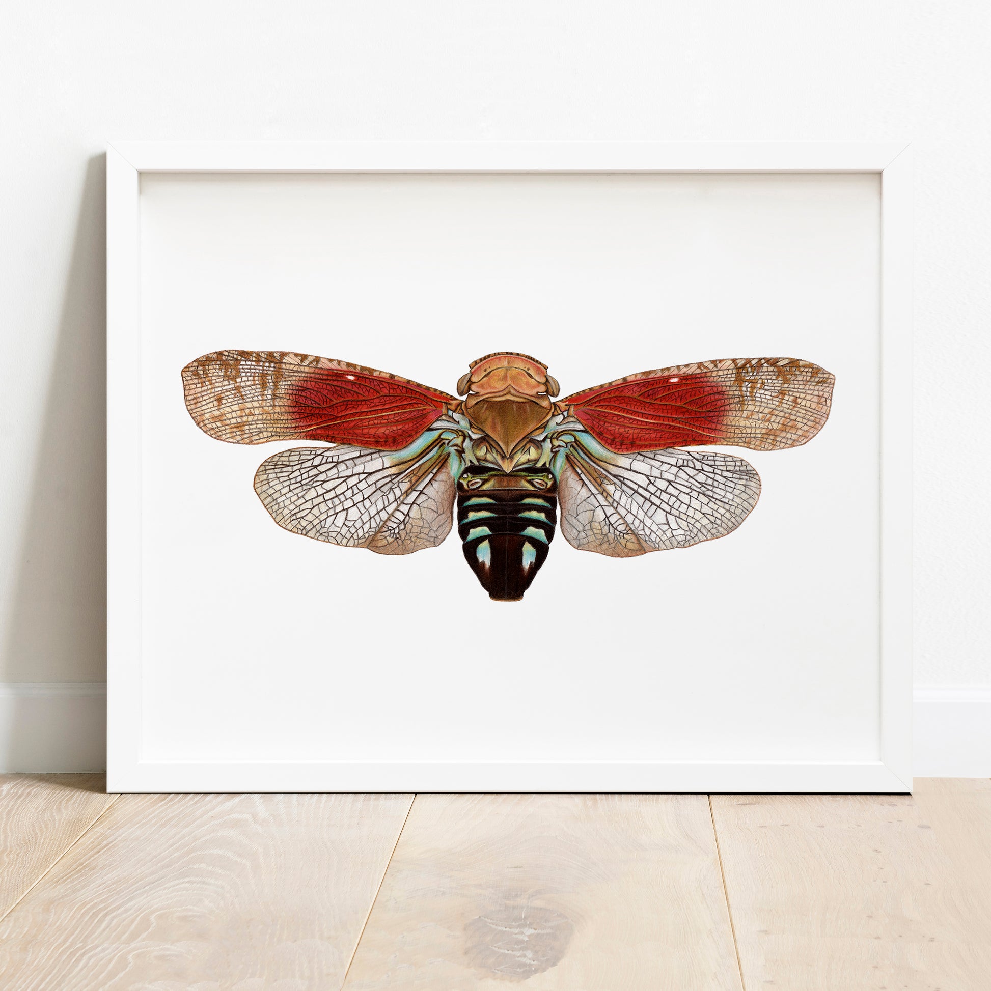 Fulgoridae plant hopper print