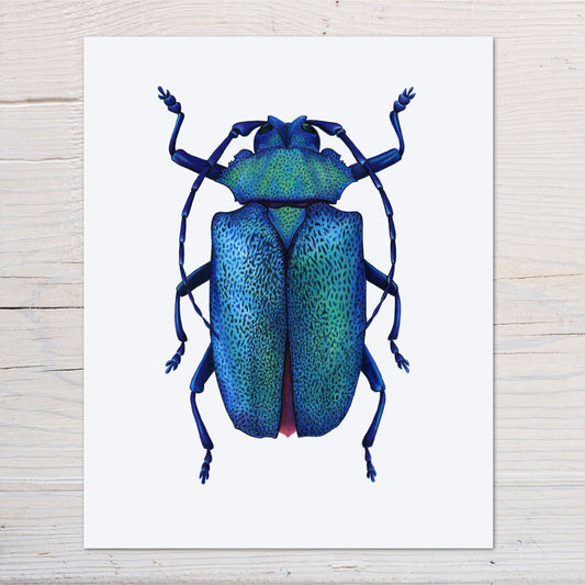 blue longhorn beetle print
