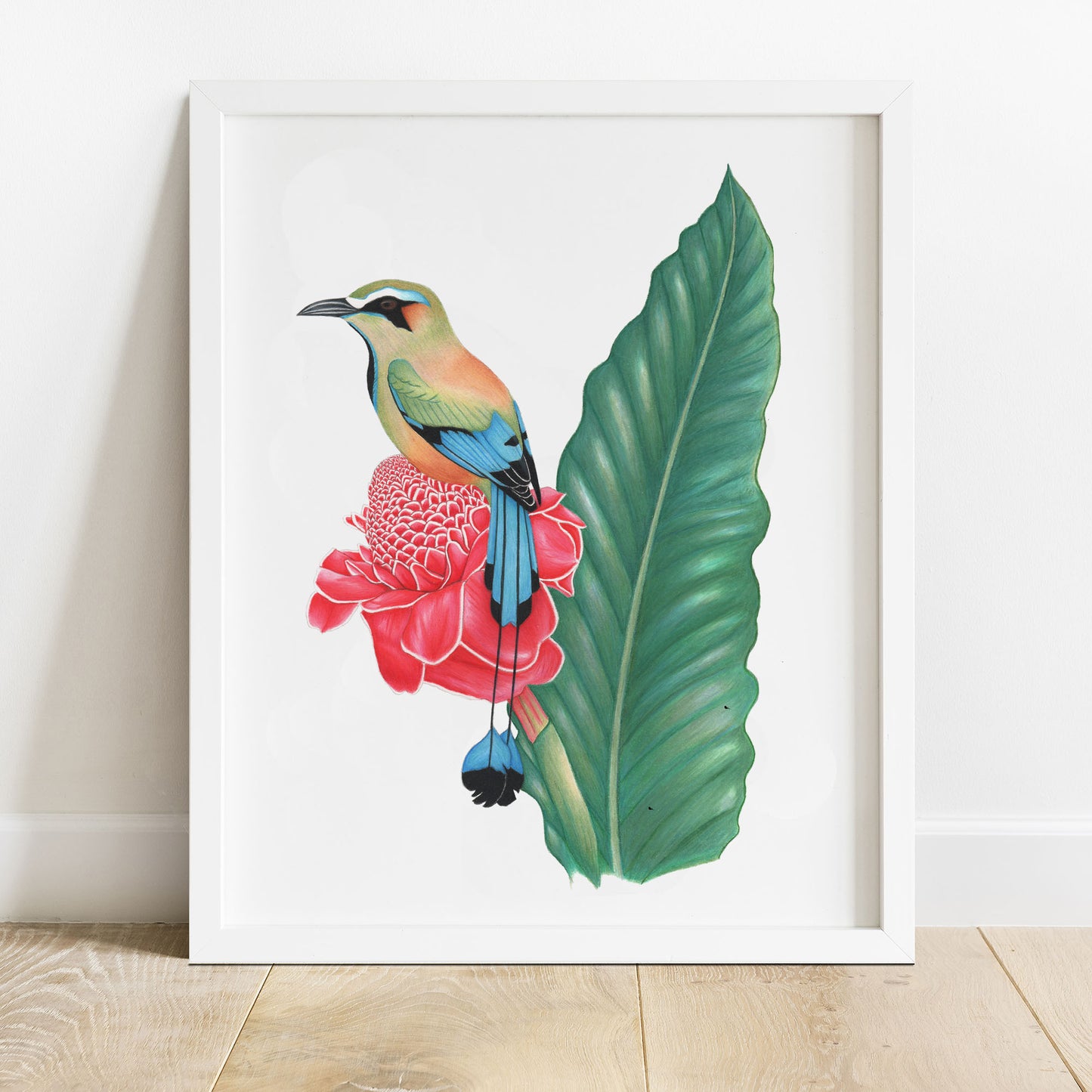 turquoise browed motmot art print