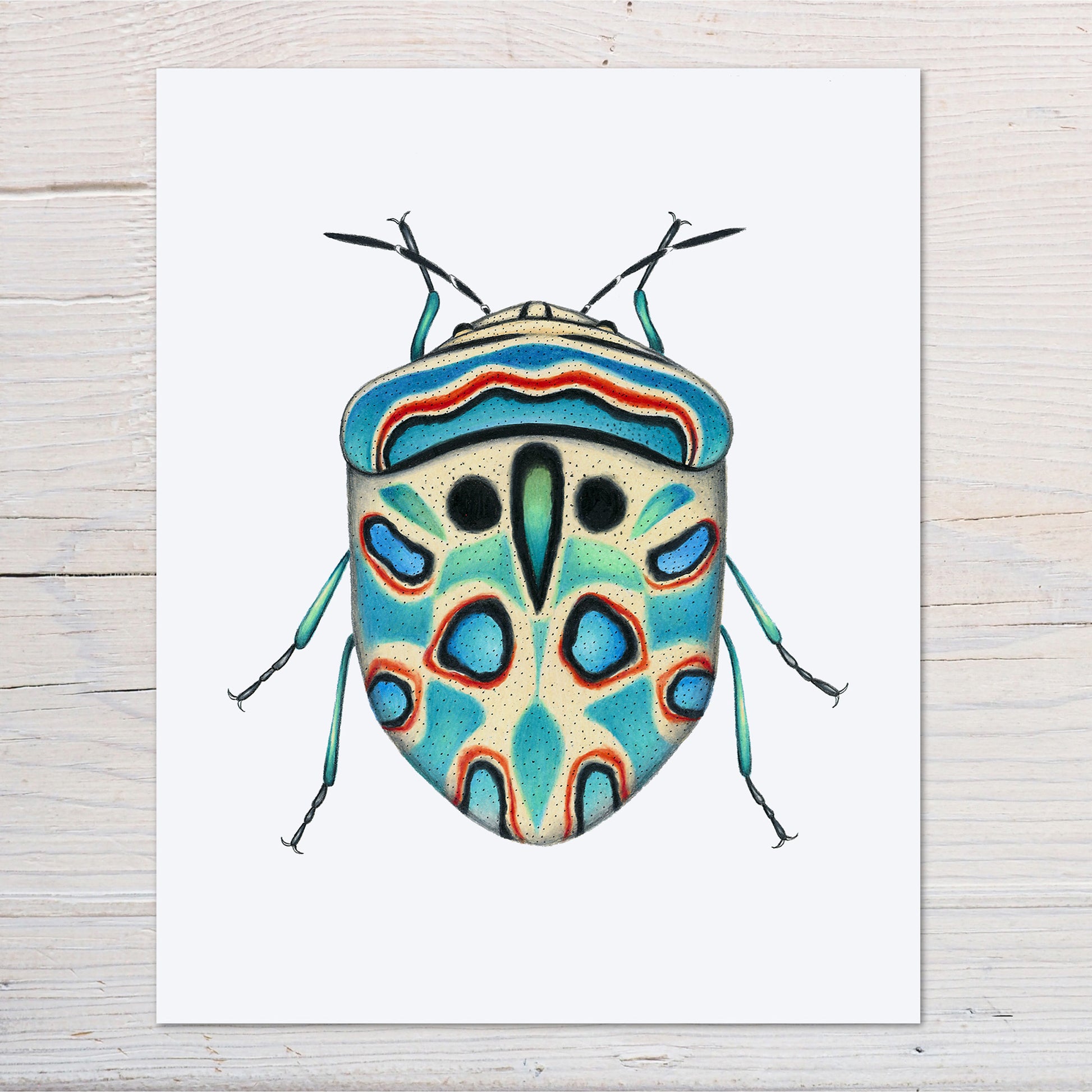 Hand drawn pencil art of a Picasso bug by Rachel Diaz-Bastin. Prints available.