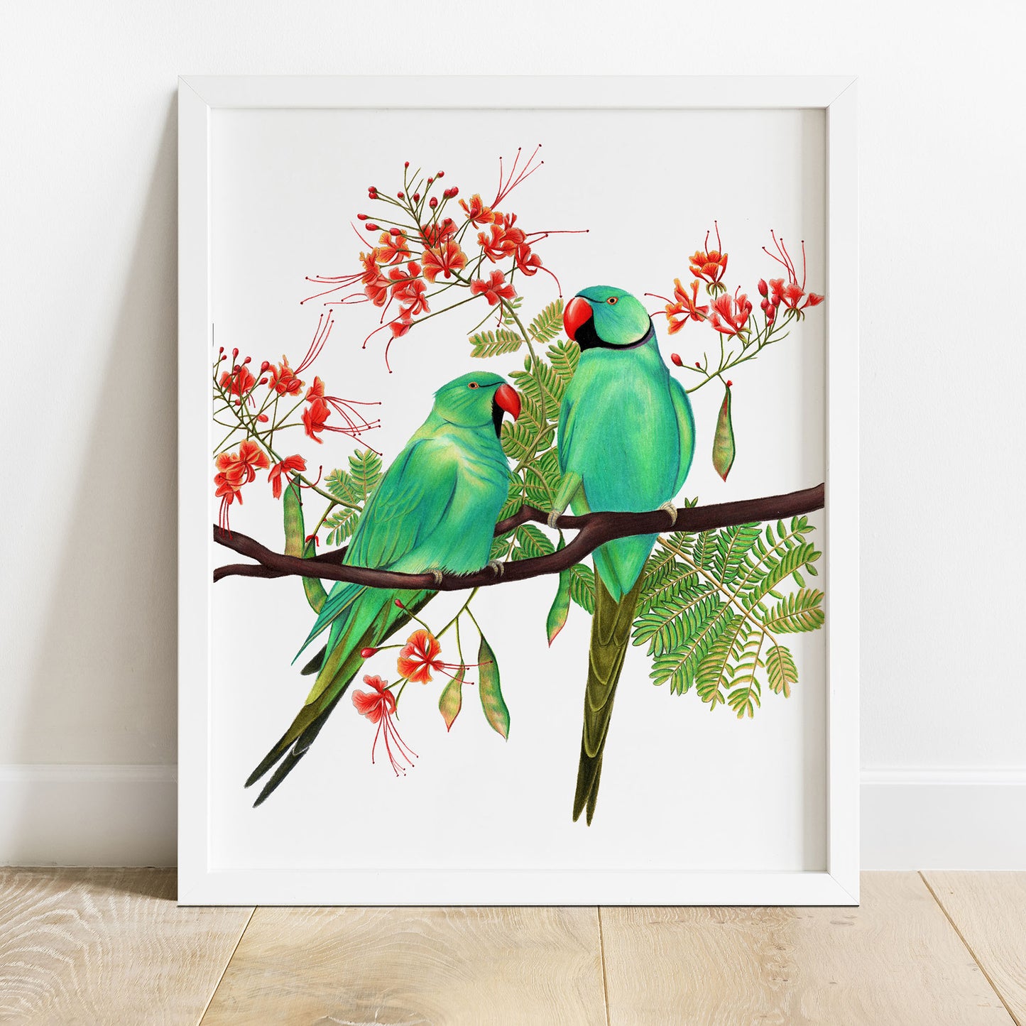 Rose-ringed Parakeets
