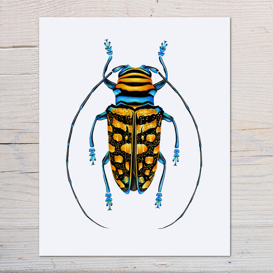 Yellow longhorn beetle Cerambycidae print