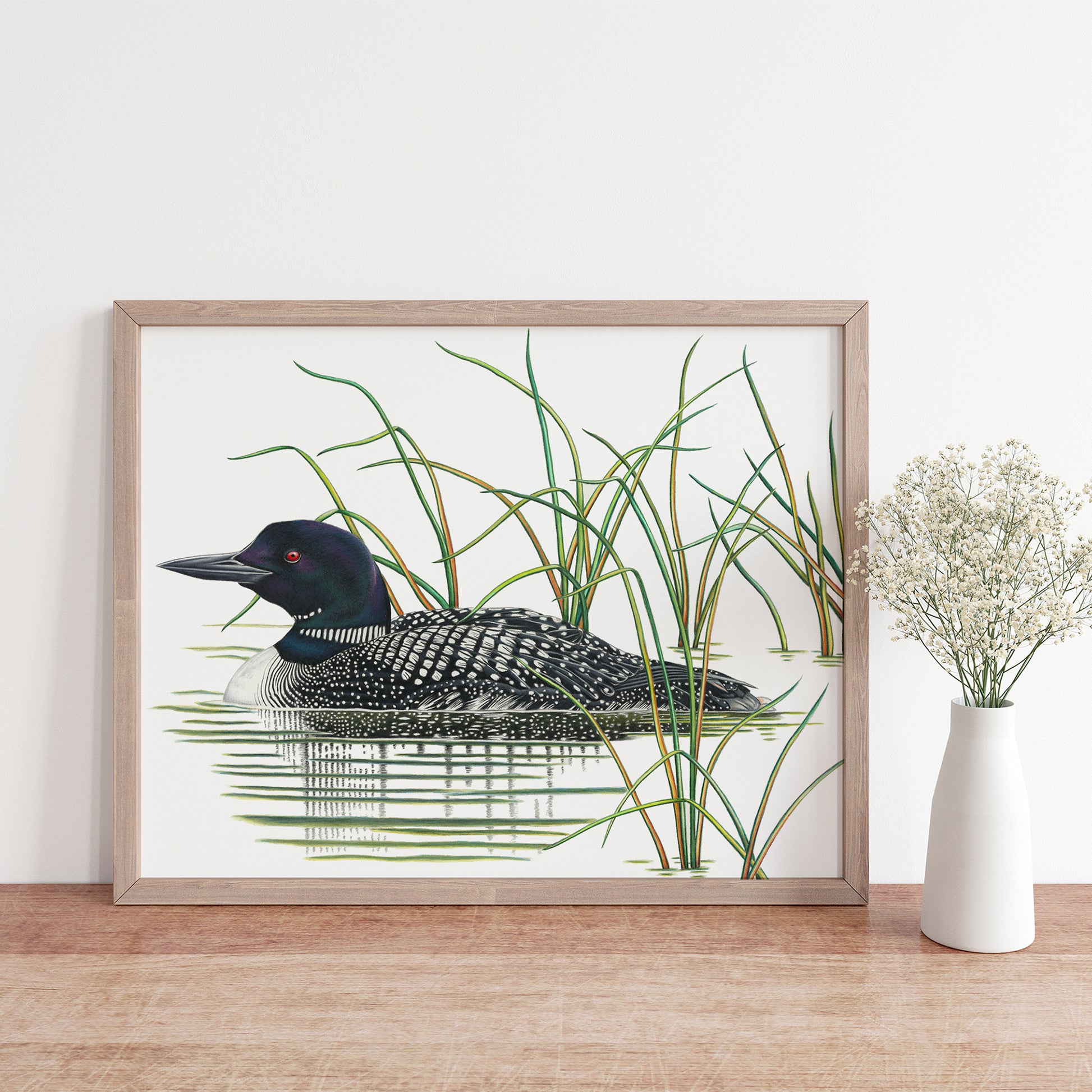 Hand drawn pencil art of a Common Loon by Rachel Diaz-Bastin. Prints available.