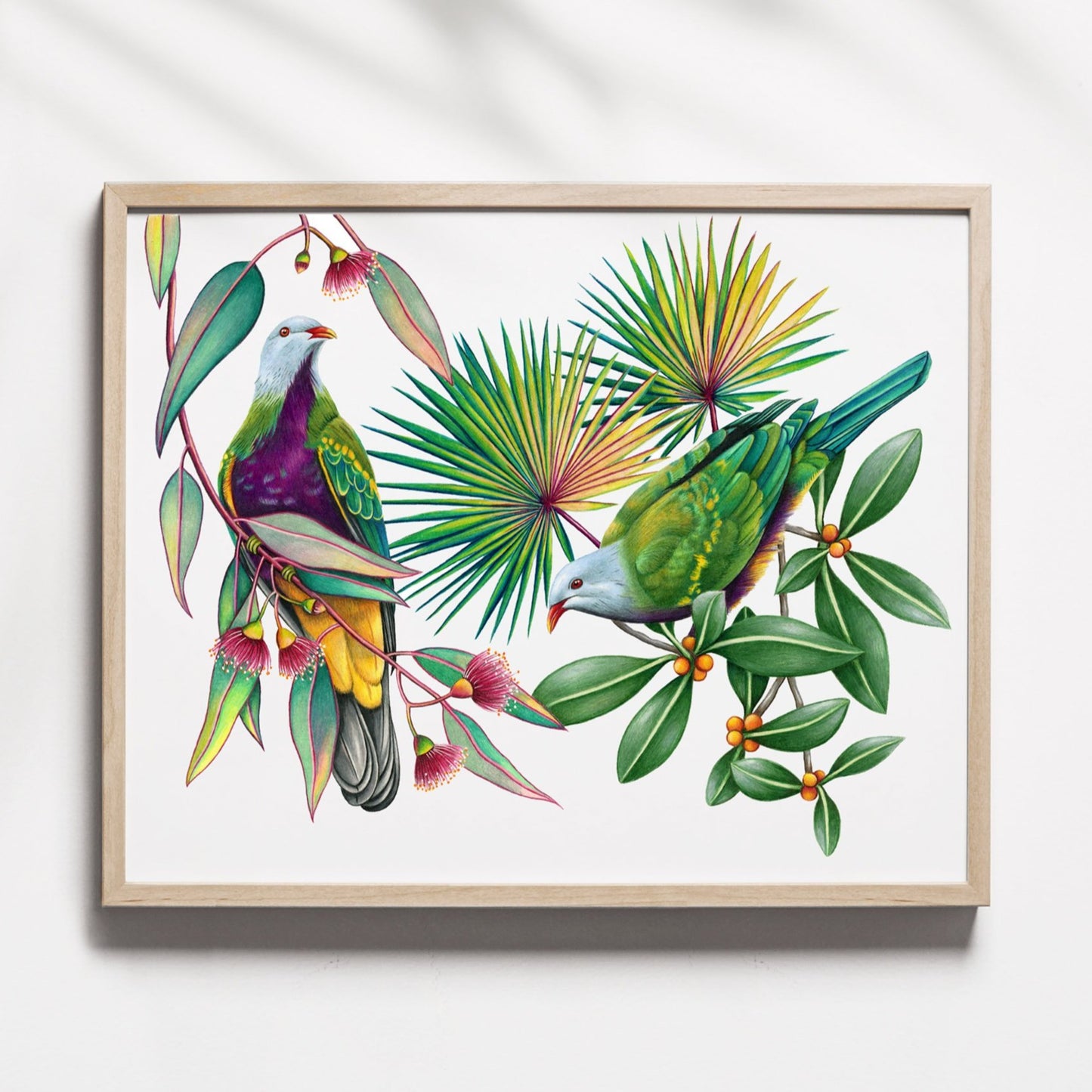 Hand drawn pencil art of wompoo fruit doves in eucalyptus tree by Rachel Diaz-Bastin. Prints available.