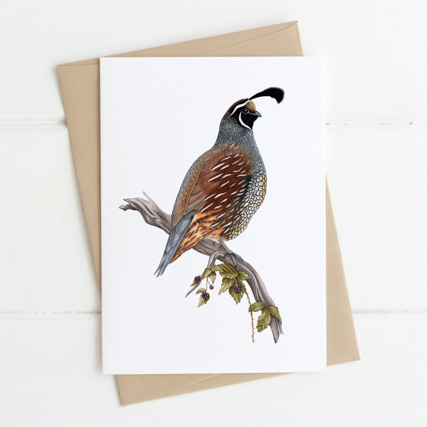 California quail greeting card