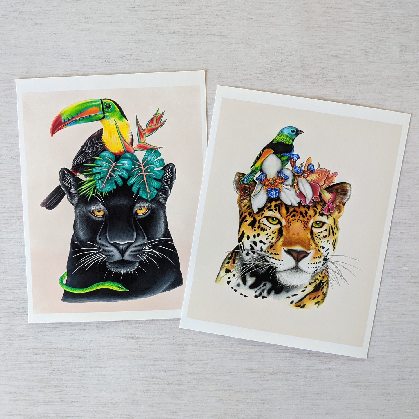 Hand drawn pencil art of jaguars with toucan and tropical plants by Rachel Diaz-Bastin. Prints available.