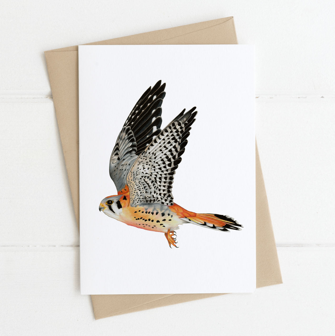 American kestrel greeting card