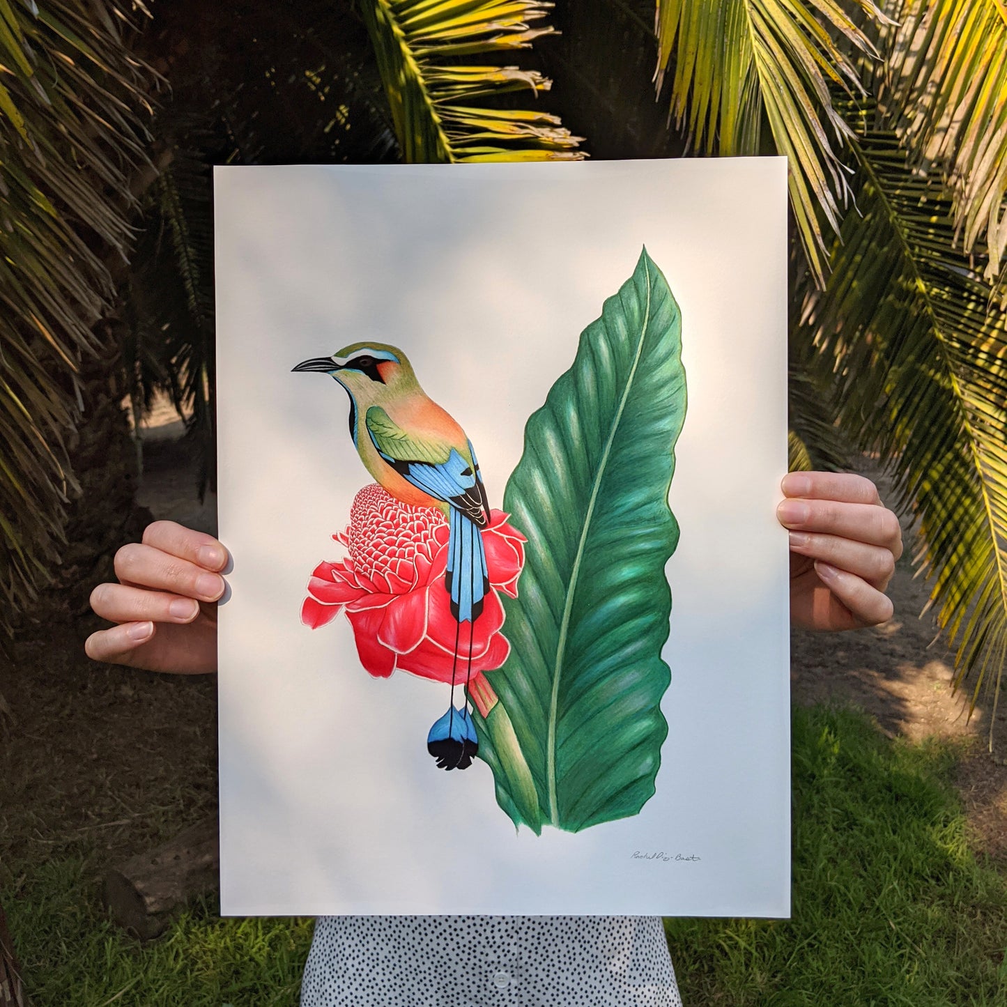 turquoise browed motmot art print
