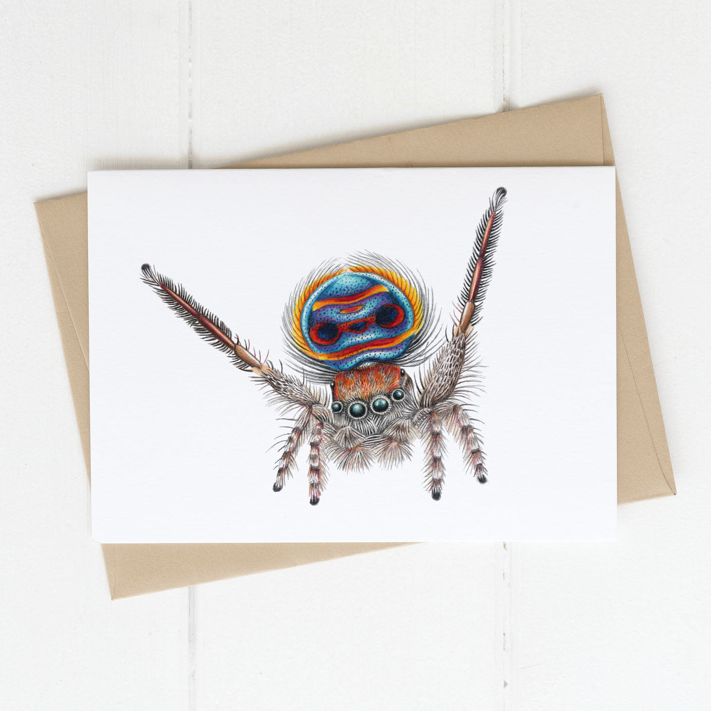 Peacock spider greeting card
