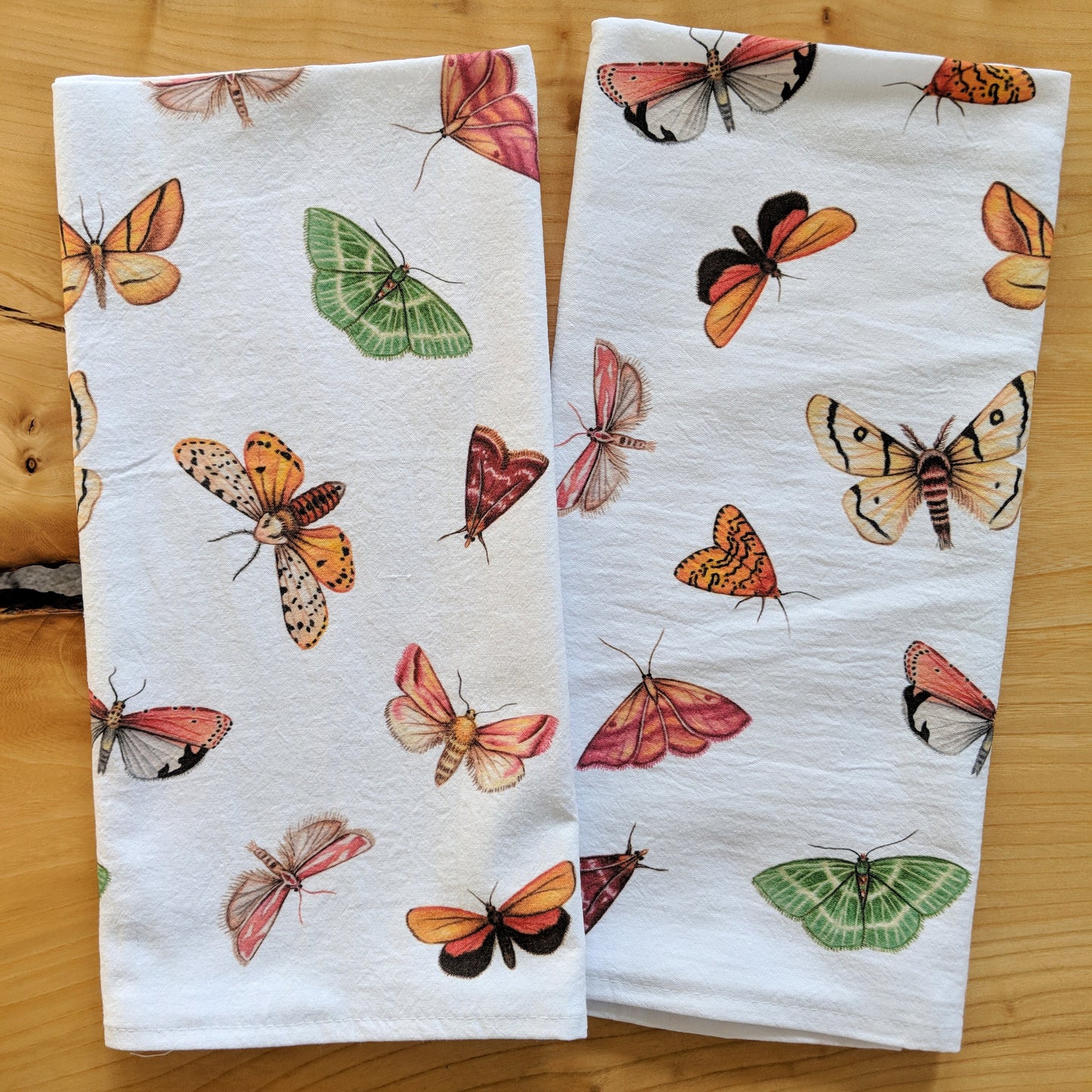 Hand drawn pencil art of moths by Rachel Diaz-Bastin. Tea towels available.