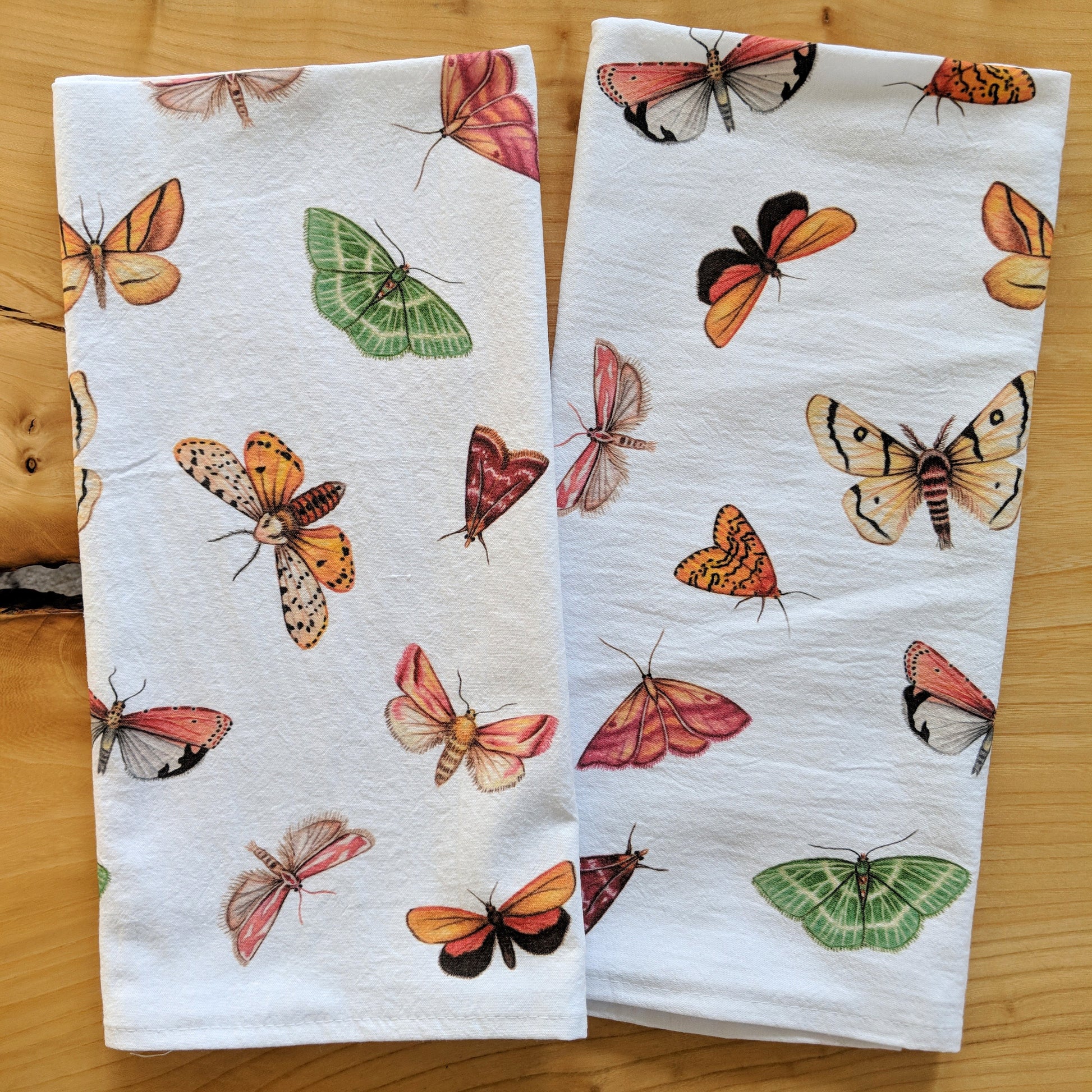 Hand drawn pencil art of moths by Rachel Diaz-Bastin. Tea towels available.