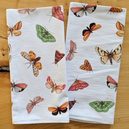 Hand drawn pencil art of moths by Rachel Diaz-Bastin. Tea towels available.
