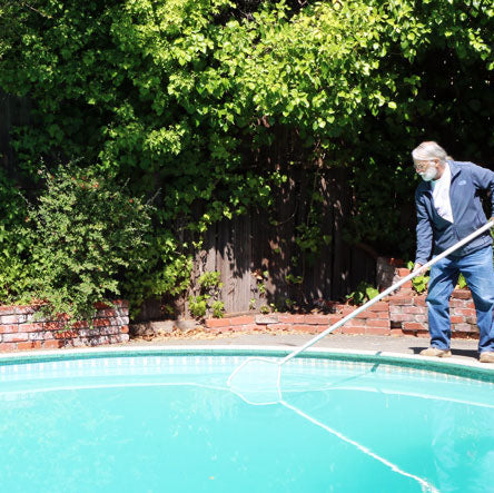 Find a Lot of Bugs When You Clean Your Swimming Pool? Scientists Want to See Them.