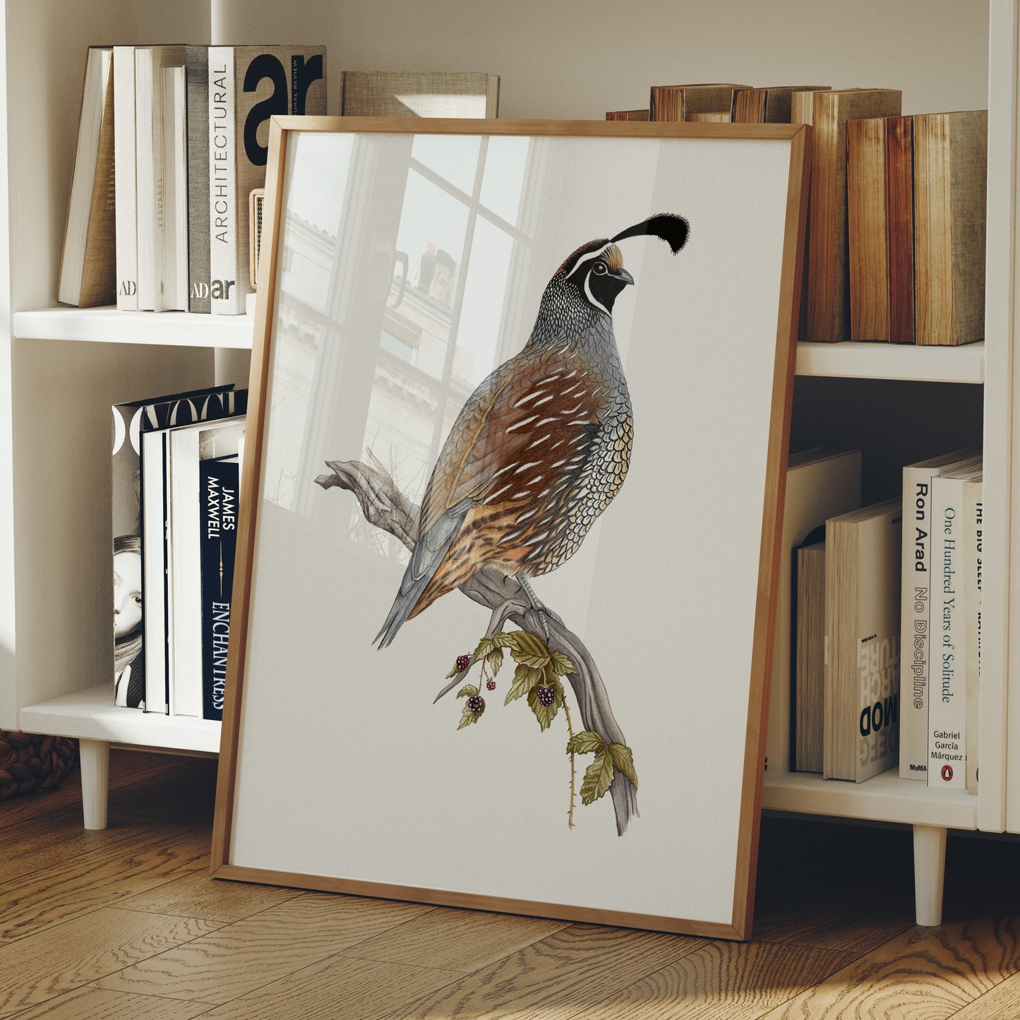 California Quail Print