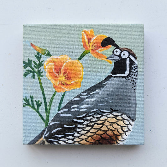 California Quail Mini Canvas Print