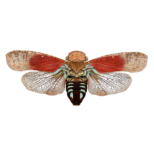 Tropical Planthopper Print