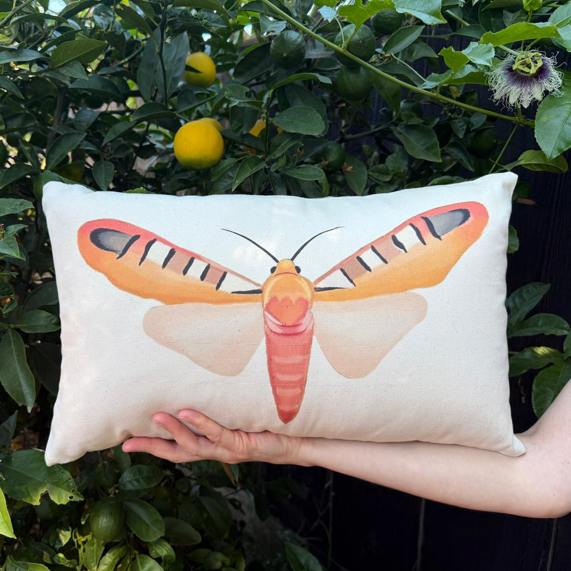 Moth Lumbar Pillow Cover