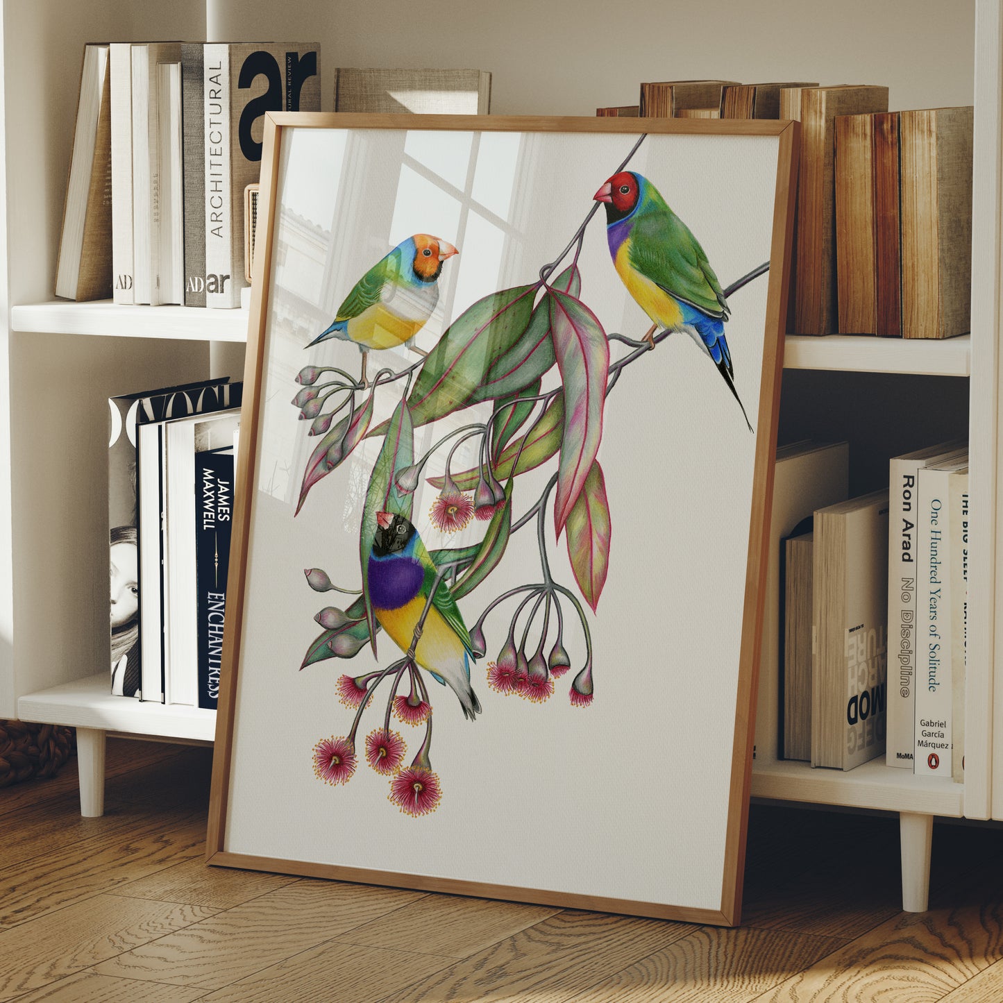 Gouldian Finch Print