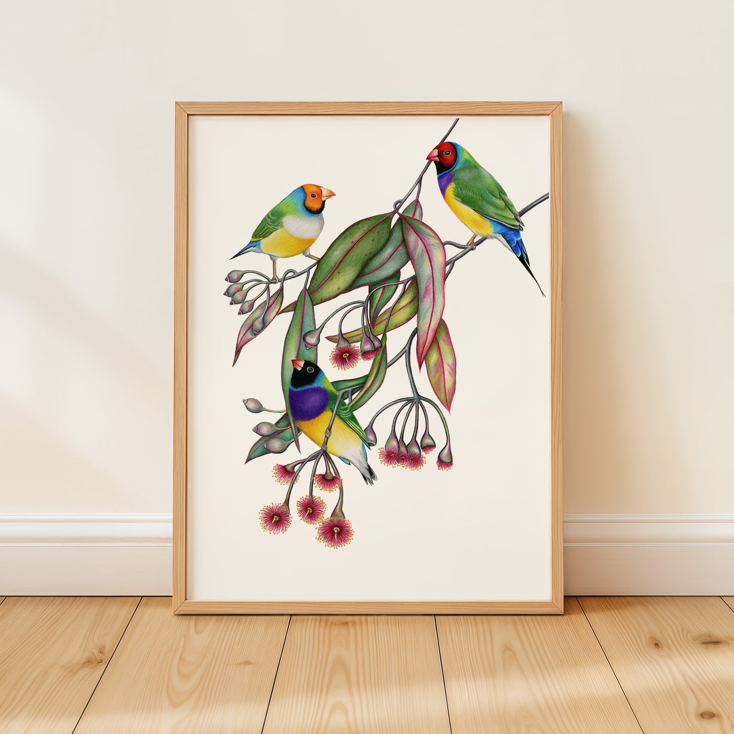 Gouldian Finch Print