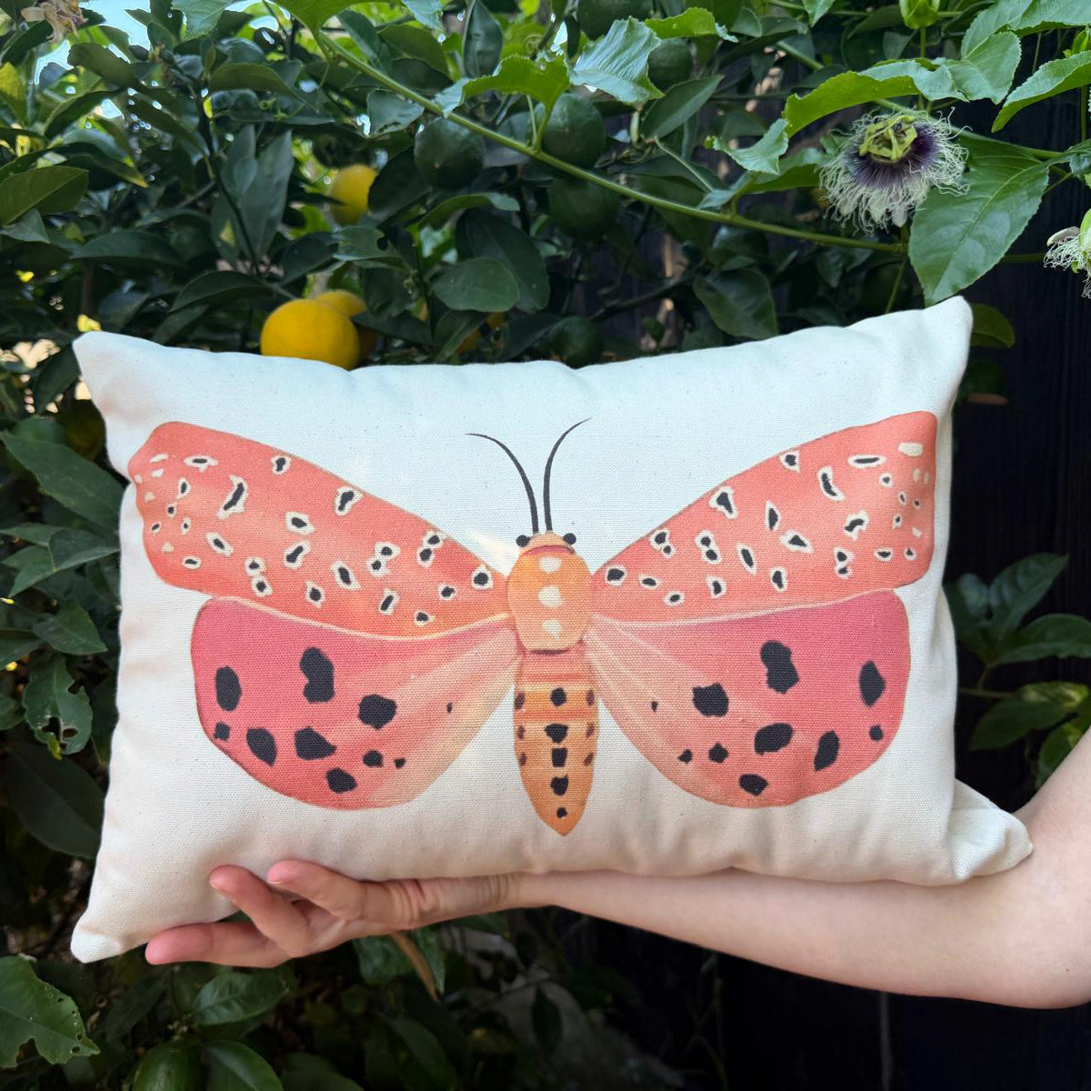 Moth Lumbar Pillow Cover