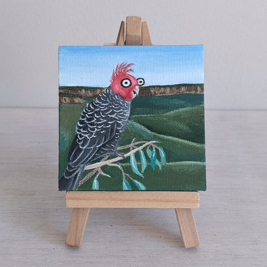 Gang Gang Cockatoo Mini Painting