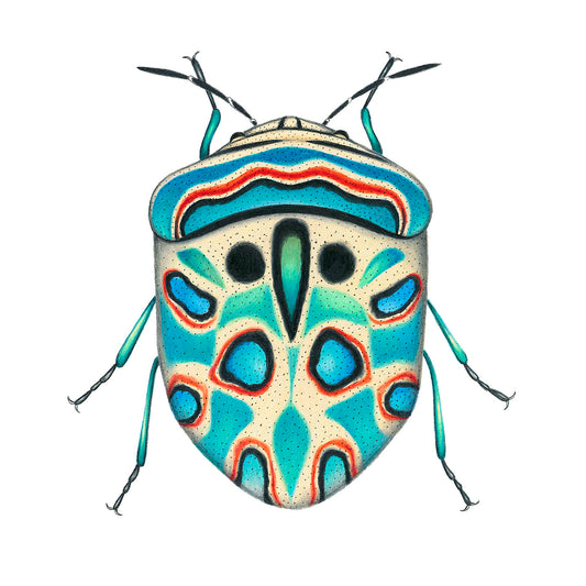Picasso Bug Print