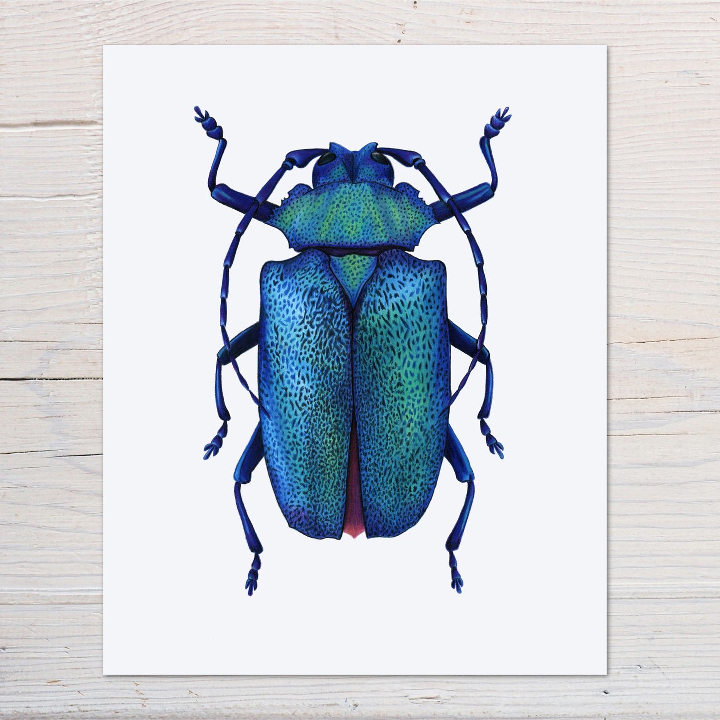 Metallic Longhorn Beetle Print