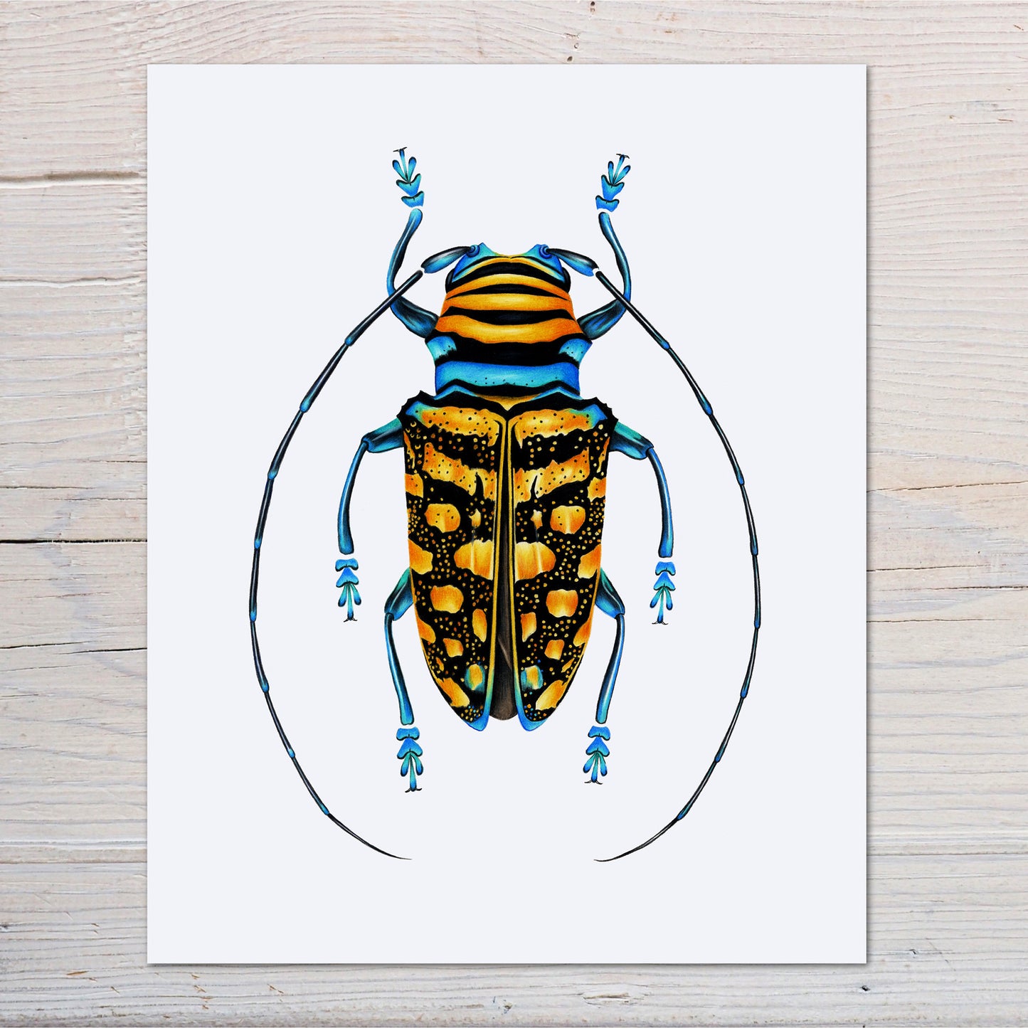 Golden Longhorn Beetle Print