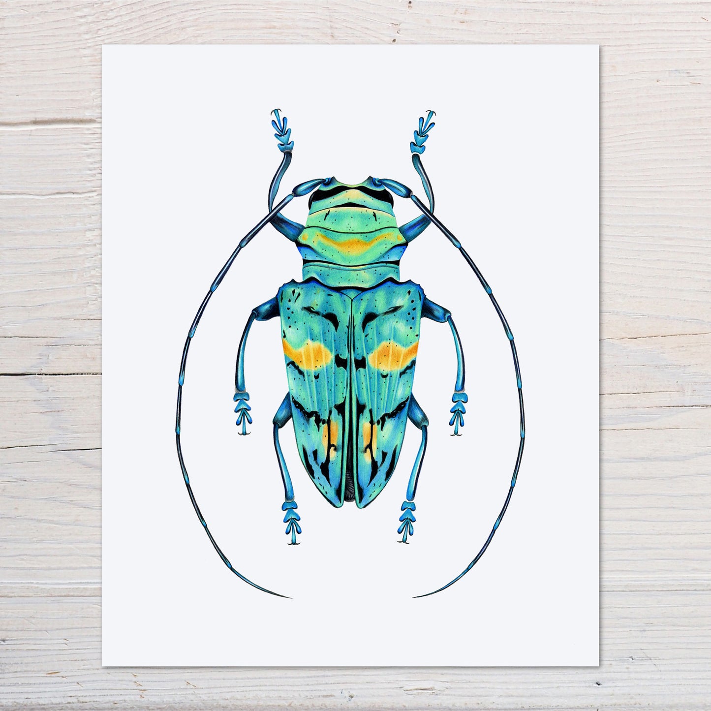 Turquoise Longhorn Beetle Print