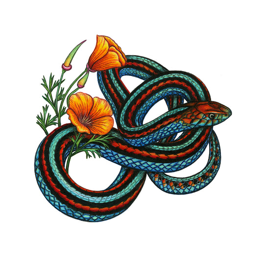 San Francisco Garter Snake Print
