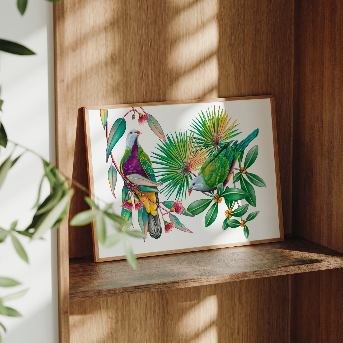 Wompoo Fruit Doves Print