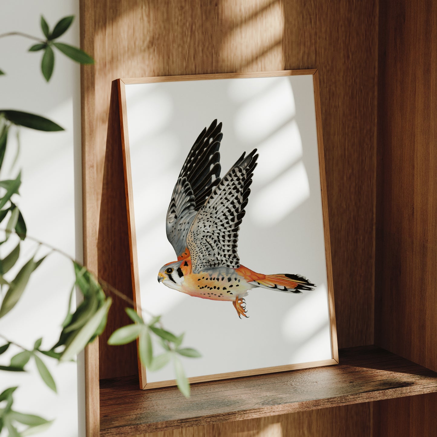 American Kestrel Print