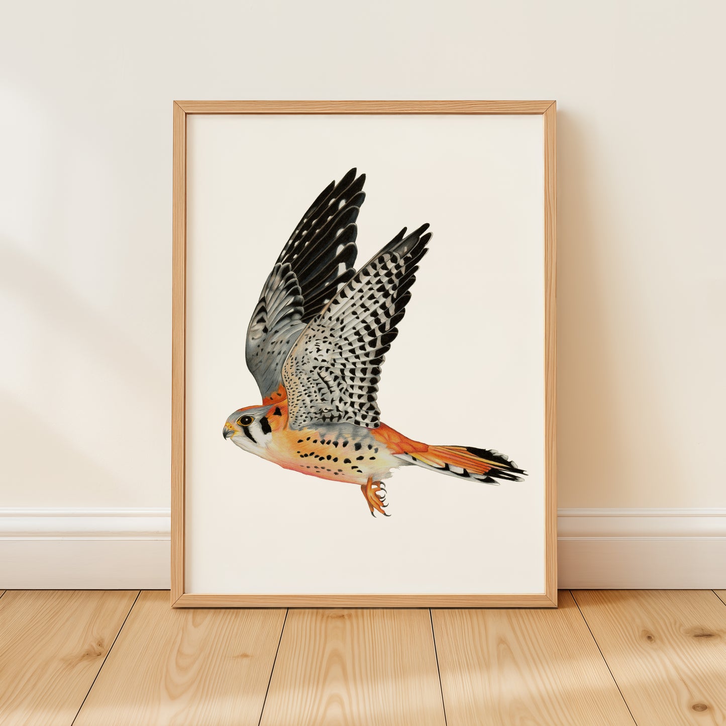 American Kestrel Print