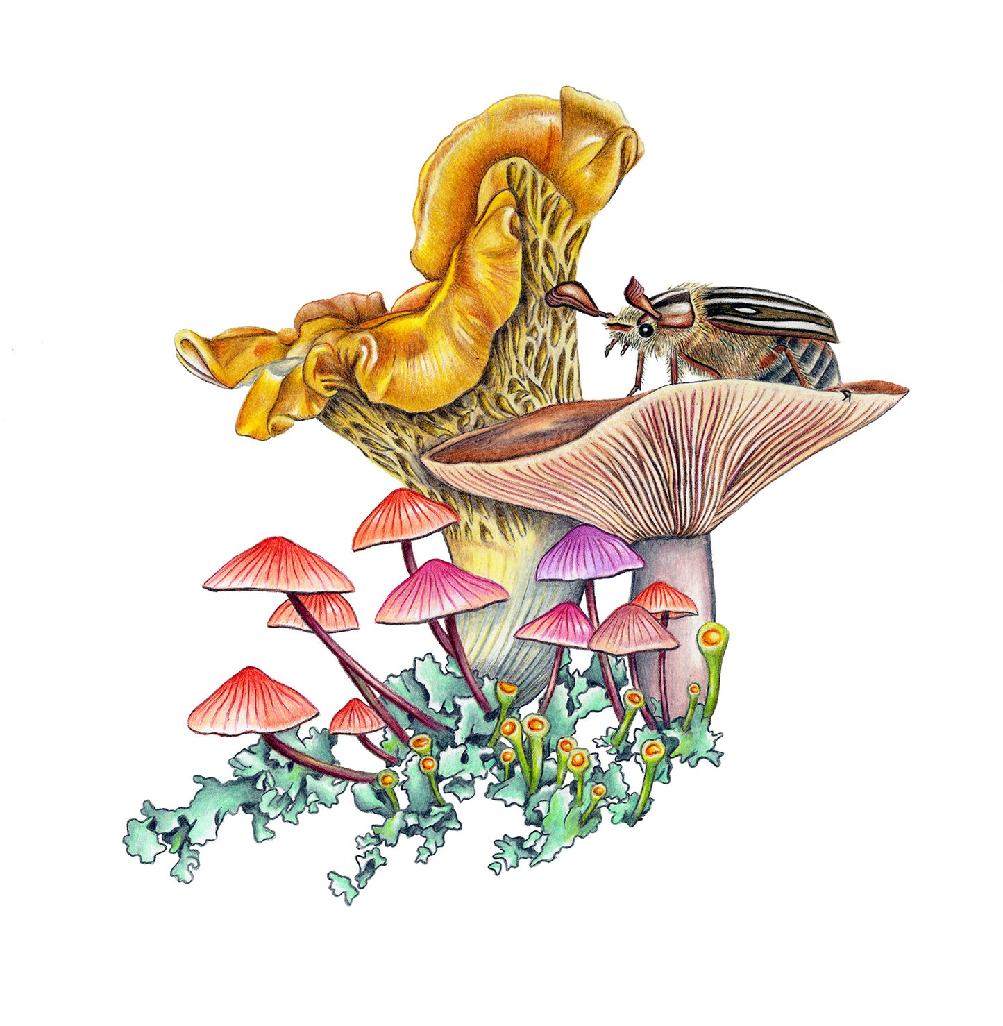 Miniature World Mushroom Print