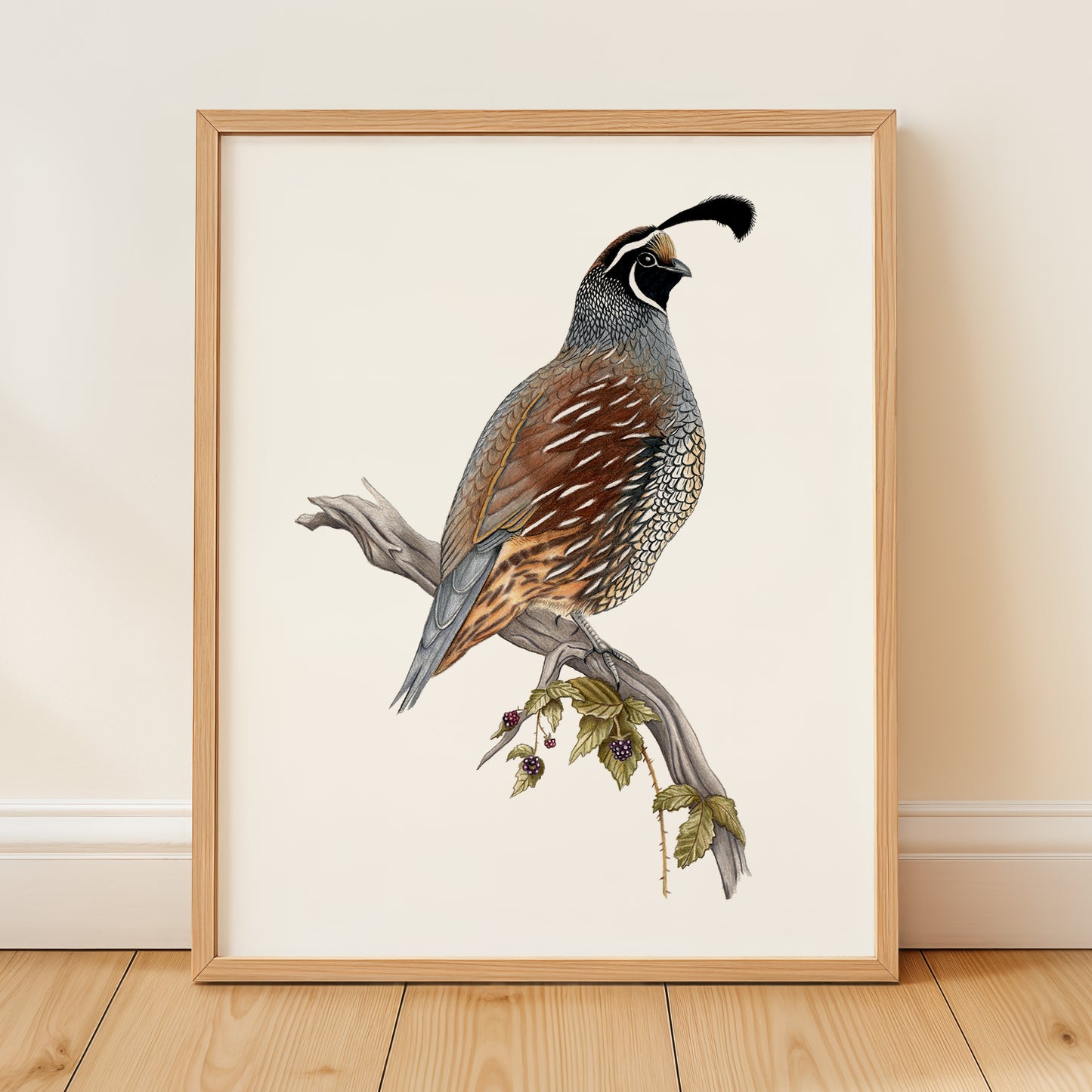 California Quail Print